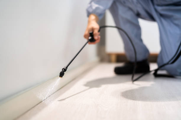 Licensed Pest Control service in Auburn Lake Trails, CA - Show Me Pest Control