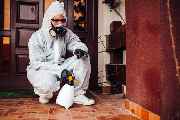 Attic and Crawl Space Rodent Treatment in Auburn Lake Trails