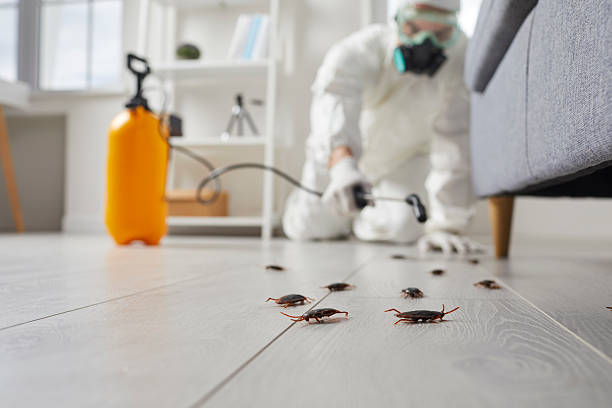 Commercial Rodent Management in Auburn Lake Trails